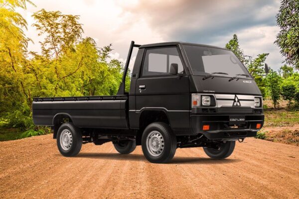 MITSUBISHI L300